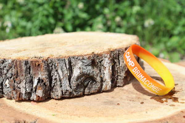 Camp Brimacombe Mood Bracelet