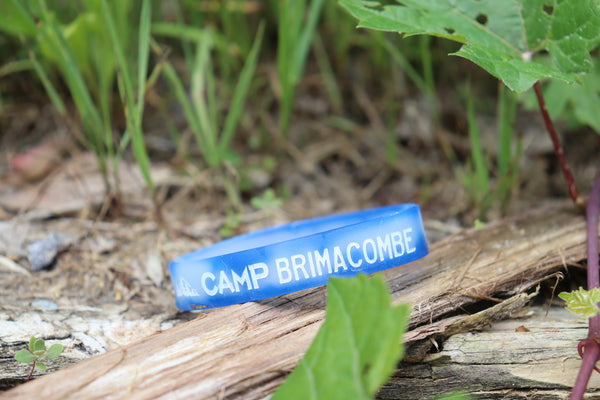 Camp Brimacombe Mood Bracelet
