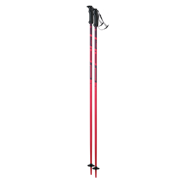 Elan Hot Rod Adult Poles