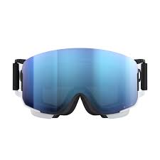 POC Nexal Goggle